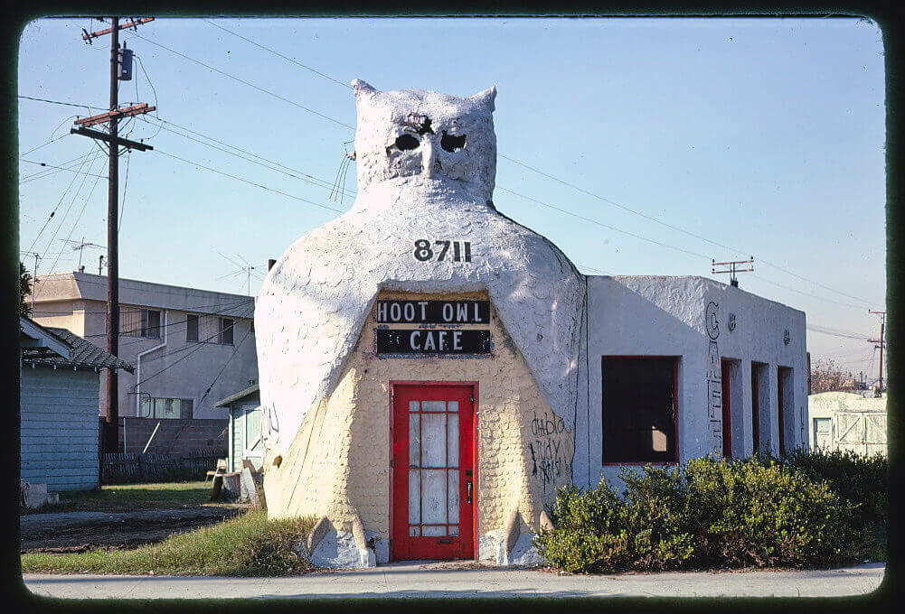 Hoot owl cafe